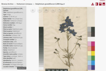 Linnaean Herbarium
