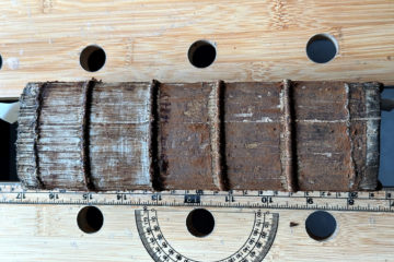 Old spine removed Web