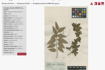 Smith Herbarium