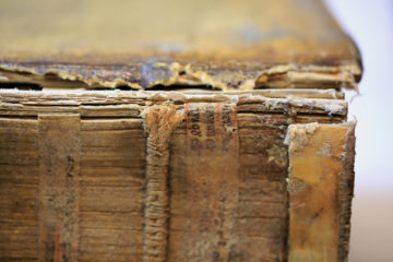 Theodorus Herbal hemp sewing supports