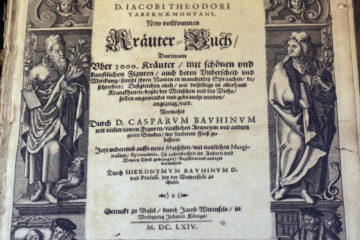 Theodorus Herbal title page crop
