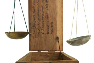 Wonder Exhibition Bat Scales c Linnean Society