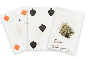 Wonder Exhibition Playing Card Specimens c Linnean Society