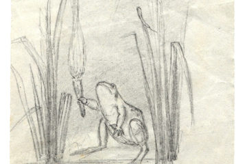 Wonder Exhibition Will O The Wisp c Linnean Society