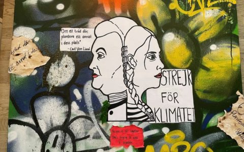 Street art, Greta Thunberg and Linnaeus - meet the winner of our portrait competition