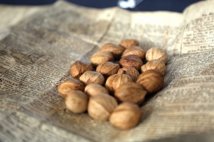 Carpological Collection