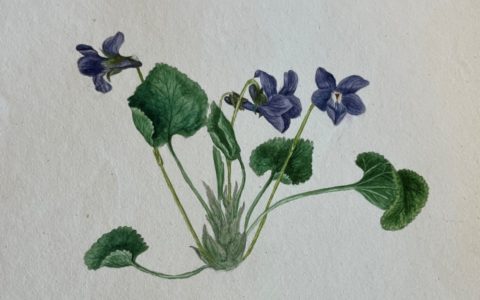 Painting En Plein Air – Margaret Woods