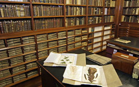 11th December 2014: Linnean Society Collections Accorded Designation Status by Arts Council England