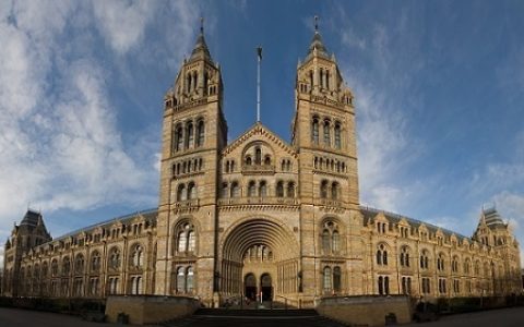 20th November 2015: 17th Young Systematists' Forum