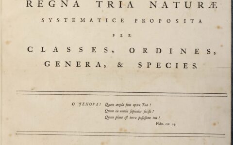 The Living World in Eleven Pages: Systema naturae, 1735