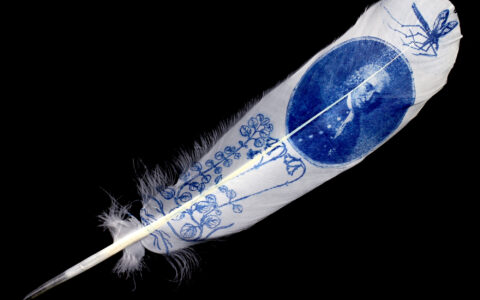 23rd May 2017: Virtual Issues: 100 years of the Swedish Linnaeus Society