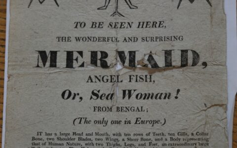 #Ephemera and #ColorOurCollections