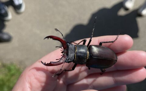 Nature Network - first term in review