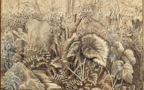 An Insider's Tour of Wellclose Square: The Origin Story of the Wardian Case