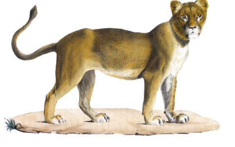 Unlocking our future