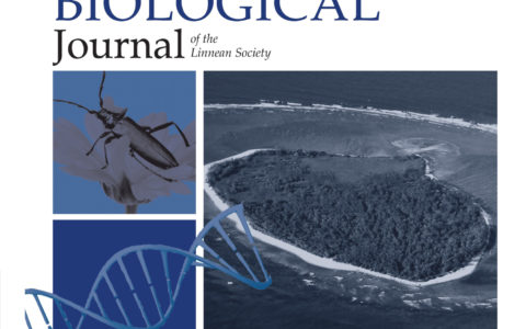 New Editor-in-Chief for the Biological Journal of the Linnean Society | Dr Karen Sears