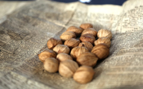 The Carpological Collection on Display