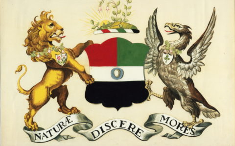 “No one knows what is in it”: Cataloguing the Linnean Society Domestic Archive