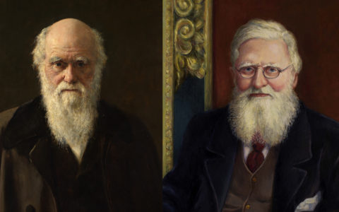 The Darwin-Wallace Collection: Notes from the Private Lives of Naturalists