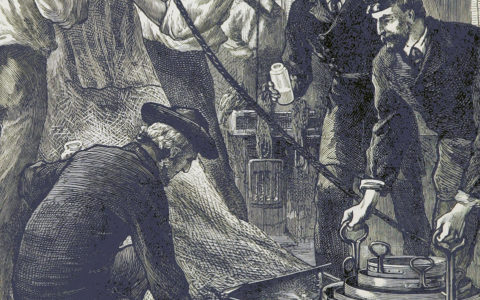 Adventurous Fellows: Part One