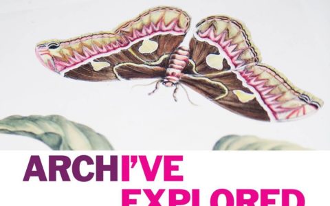 Explore Your Archive 2017