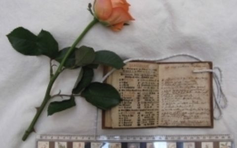 Seven Temptations! Linnaeus and Love in the New Year