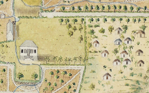 Black Lives Matter in our Collections