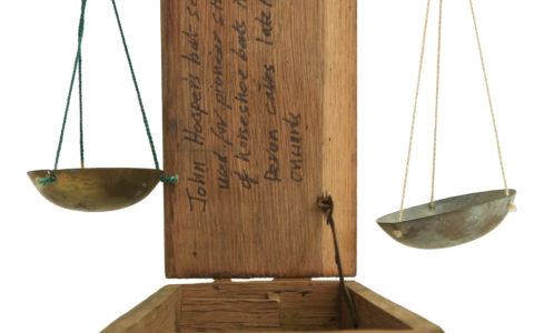 Tipping the Scales: How John Hooper Balanced Bats and Citizen Science