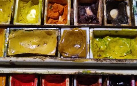 The Many Colours of Stella Ross-Craig