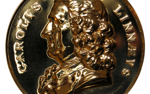 Linnean Society Announces 2024 Medal and Award Recipients