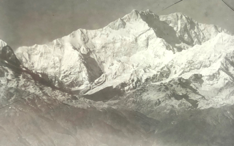 To Make Strange Things Appear: Lantern Slides at the Linnean Society