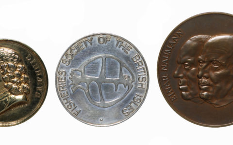 The Medals of Rosemary Lowe-McConnell