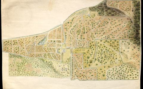 The Alexander Anderson Manuscript Collection