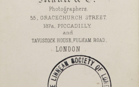 The Photographic Portraits Collection