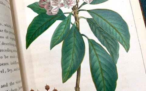 AdoptLINN finds new donors