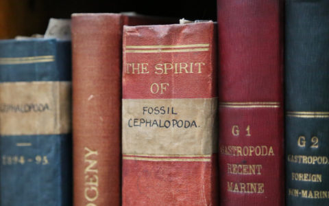 Opuscula Unbound: Organising our 'Little Works'