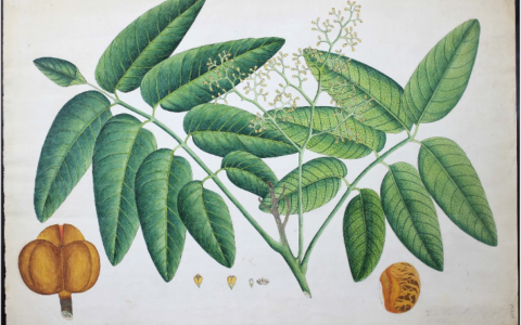 Metal and memories of World War 2