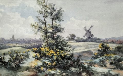 As Far as the Eye can See | Two Views of Nature