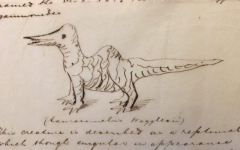 Professor Liebig and the mysterious fossils of the Trap Formation