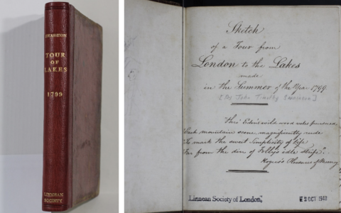 John Timothy Swainson’s Summer of 1799