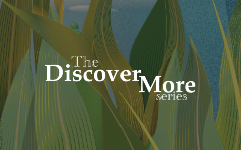 The Discover More series
