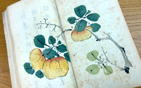 The Ten Bamboo Studio Treatise on Painting