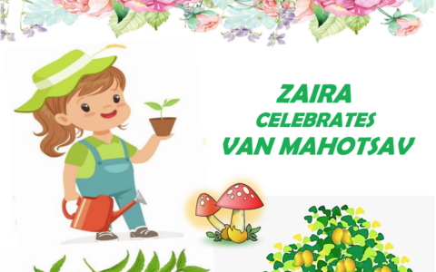 A mycorrhizal story from Alaa