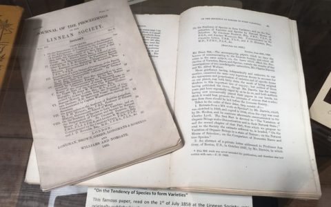 160th anniversary of the presentation of "On the tendency of Species to form Varieties"