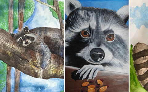 Winners announced for the New Portrait competition from the Linnean Society!