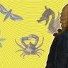 His career and legacy