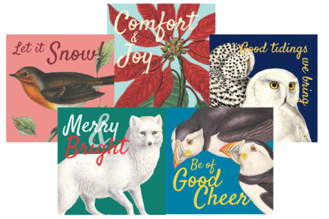 Christmas Card Pack