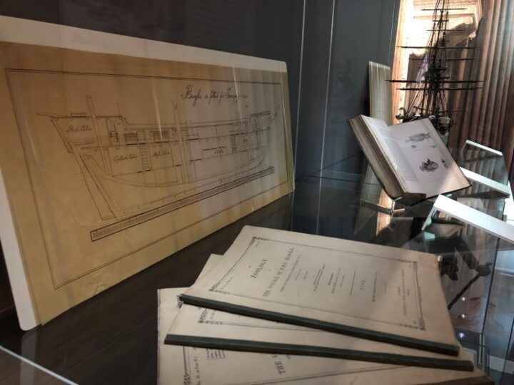 Beagle plans on display in The Royal Society, Summer Exhibition 2022