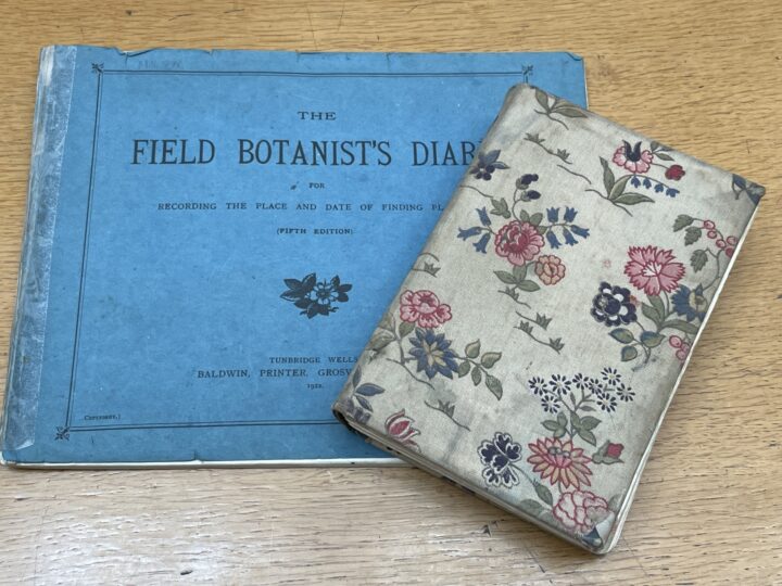 MS/6 and MS/576, Chapman's notebooks