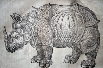 1658 Topsell Four Footed Beasts Rhino closeup